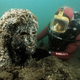 Image for article titled Once-Majestic Cities That Sank Beneath The Ocean